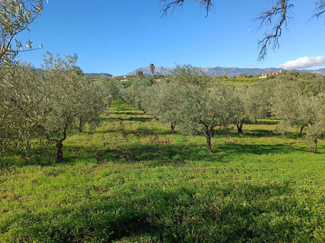 Terreno en venta en Guaro, Malaga photo 2