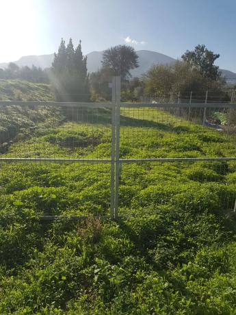 Terreno en El Cigarral - Dehesa - Borrajo photo 1