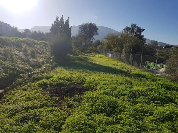 Terreno en El Cigarral - Dehesa - Borrajo photo 3