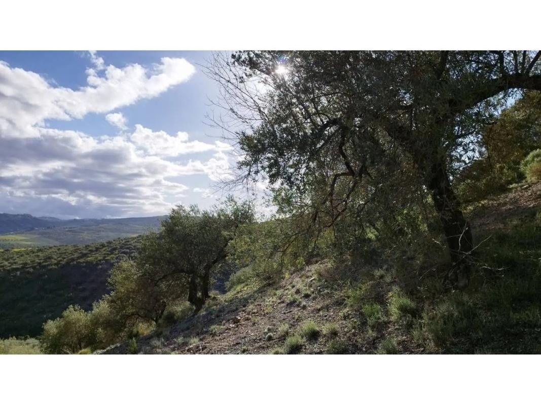 Terreno en venta en Riogordo, Malaga photo 4