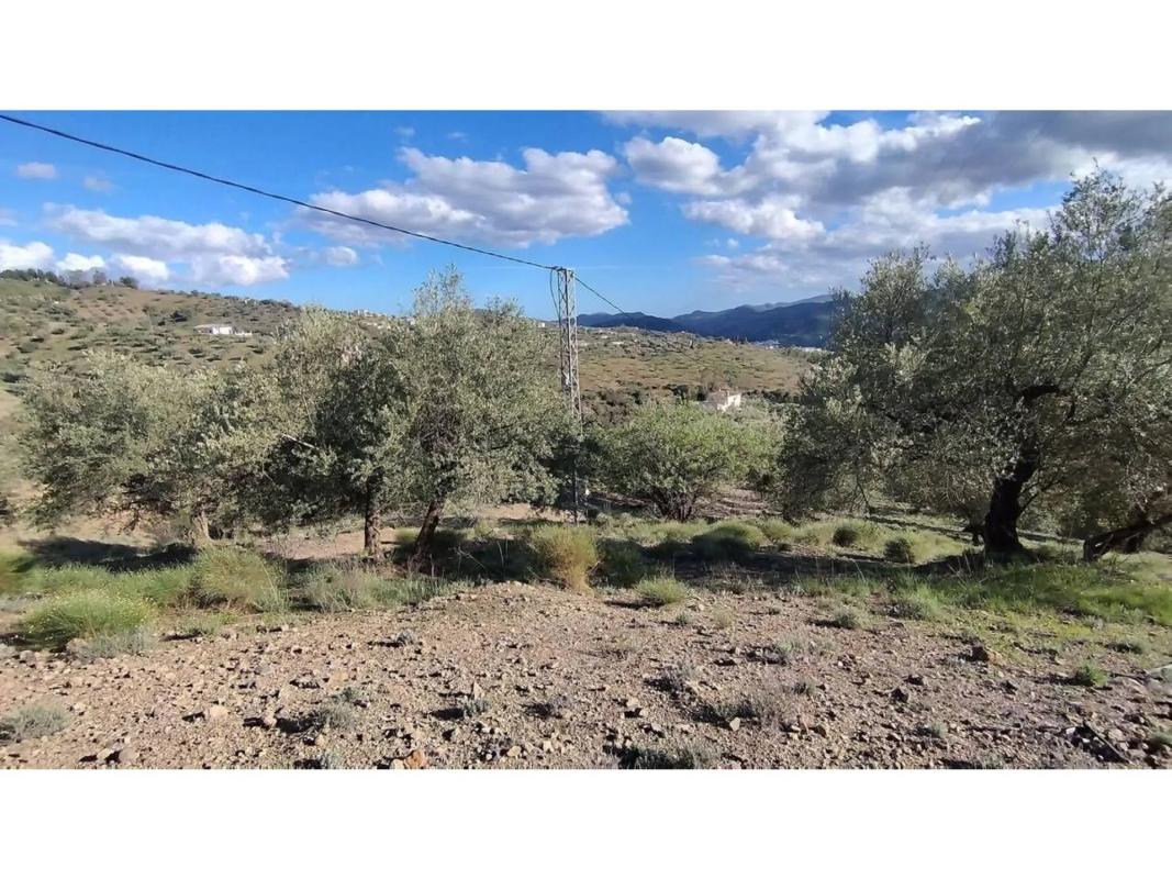 Terreno en venta en Riogordo, Malaga photo 5
