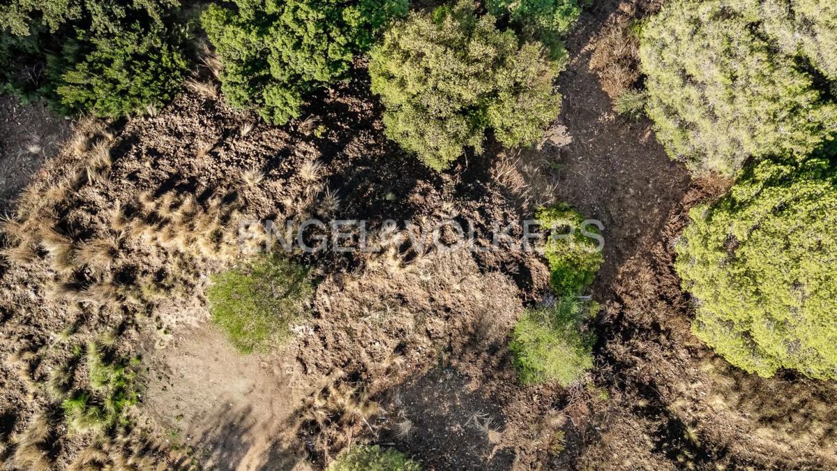 Terreno en venta en Marbella, Malaga photo 4