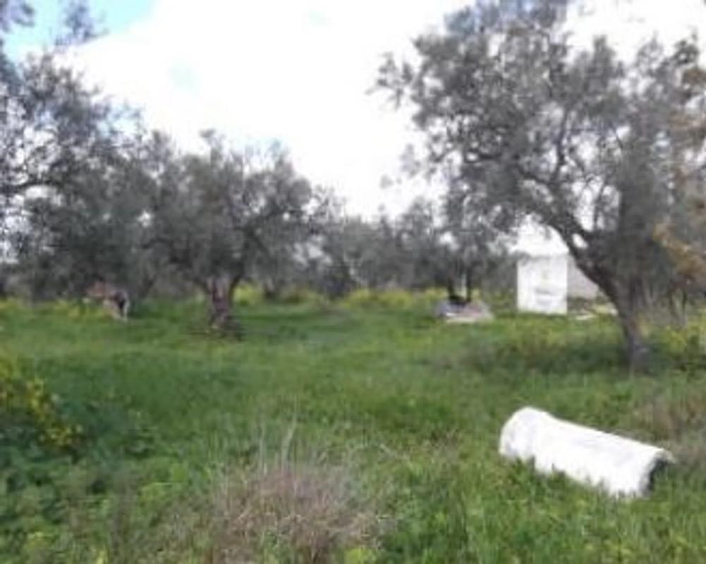 Działka na sprzedaż w Antequera, Malaga photo 3