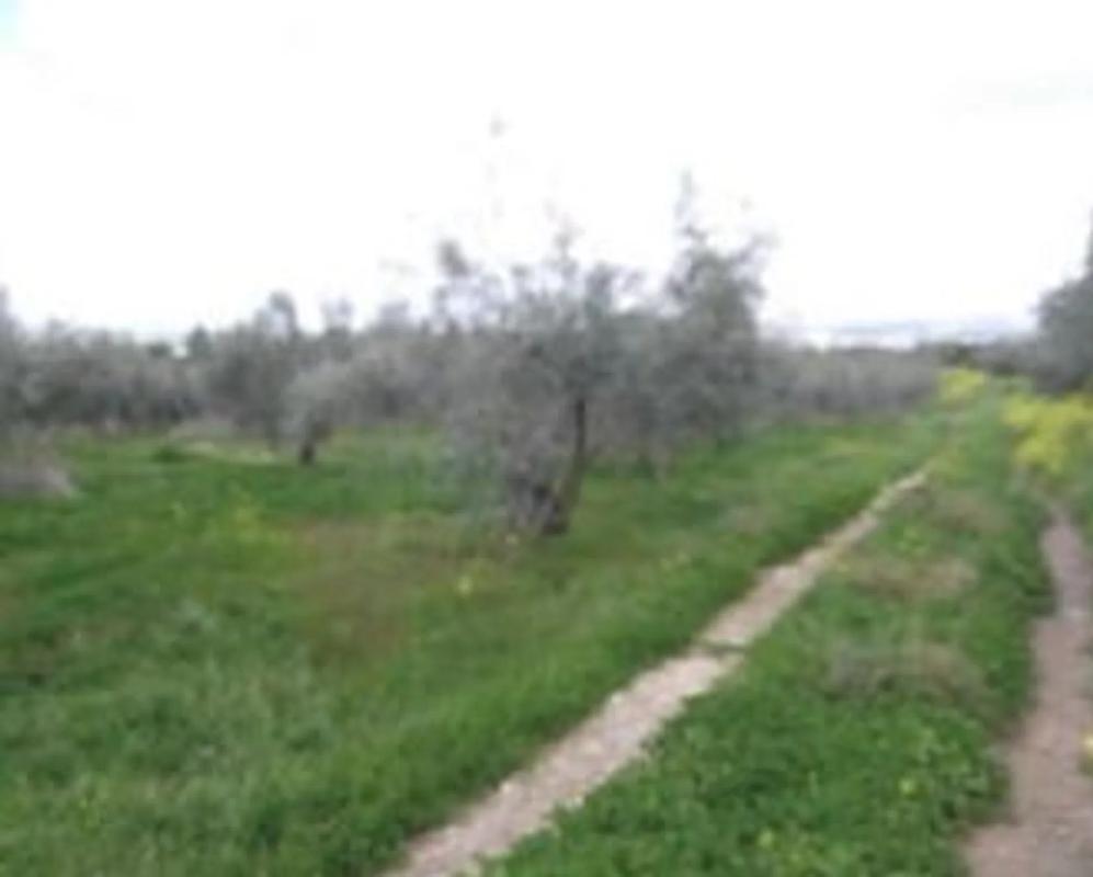 Działka na sprzedaż w Antequera, Malaga photo 4