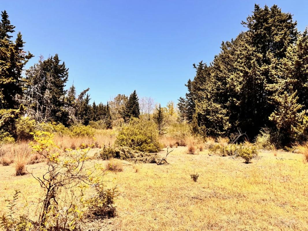 Terreno en venta en Estepona, Malaga photo 1