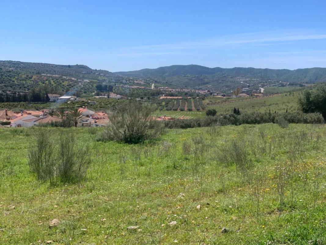 Land for sale in Alcaucín, Malaga photo 4