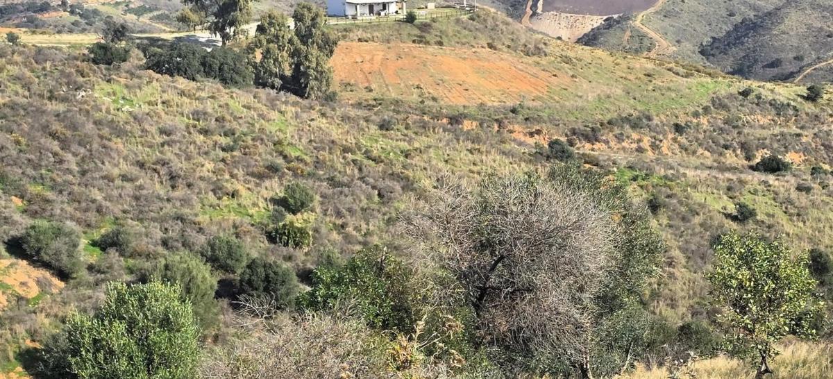 Terreno en venta en Mijas, Malaga photo 5