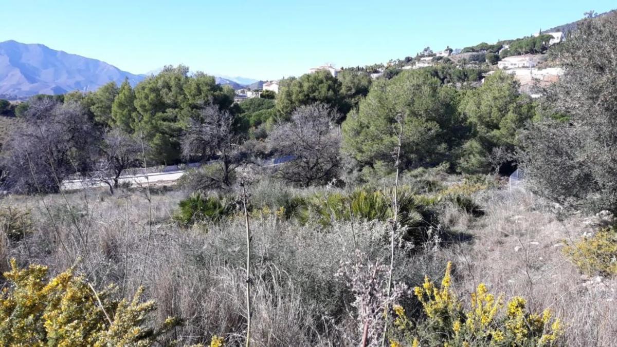 Terreno en venta en Mijas, Malaga photo 3