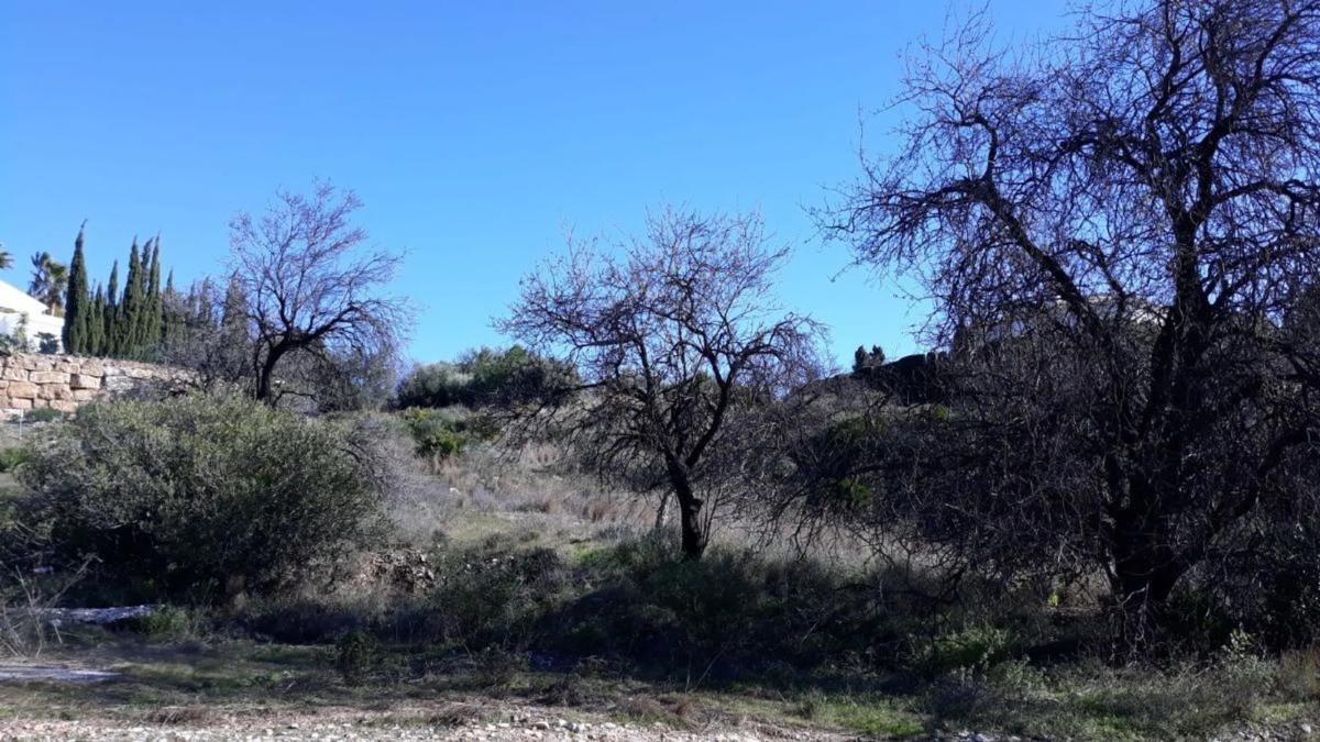 Terreno en venta en Mijas, Malaga photo 5