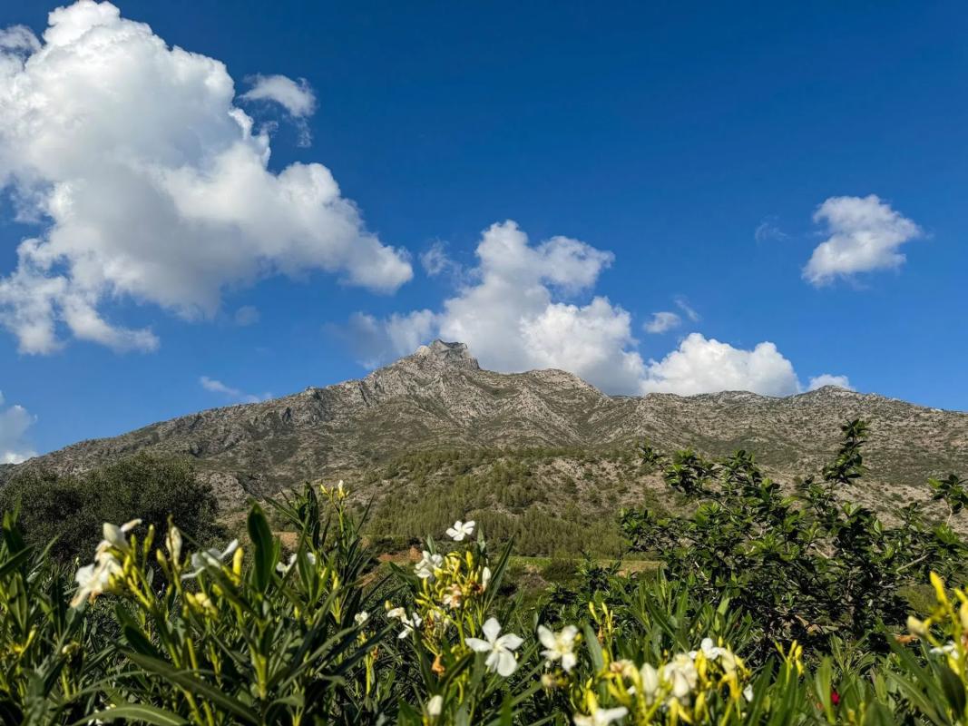 Terreno en venta en Marbella, Malaga photo 1