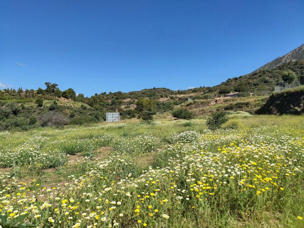 Terreno en venta en Marbella, Malaga photo 2