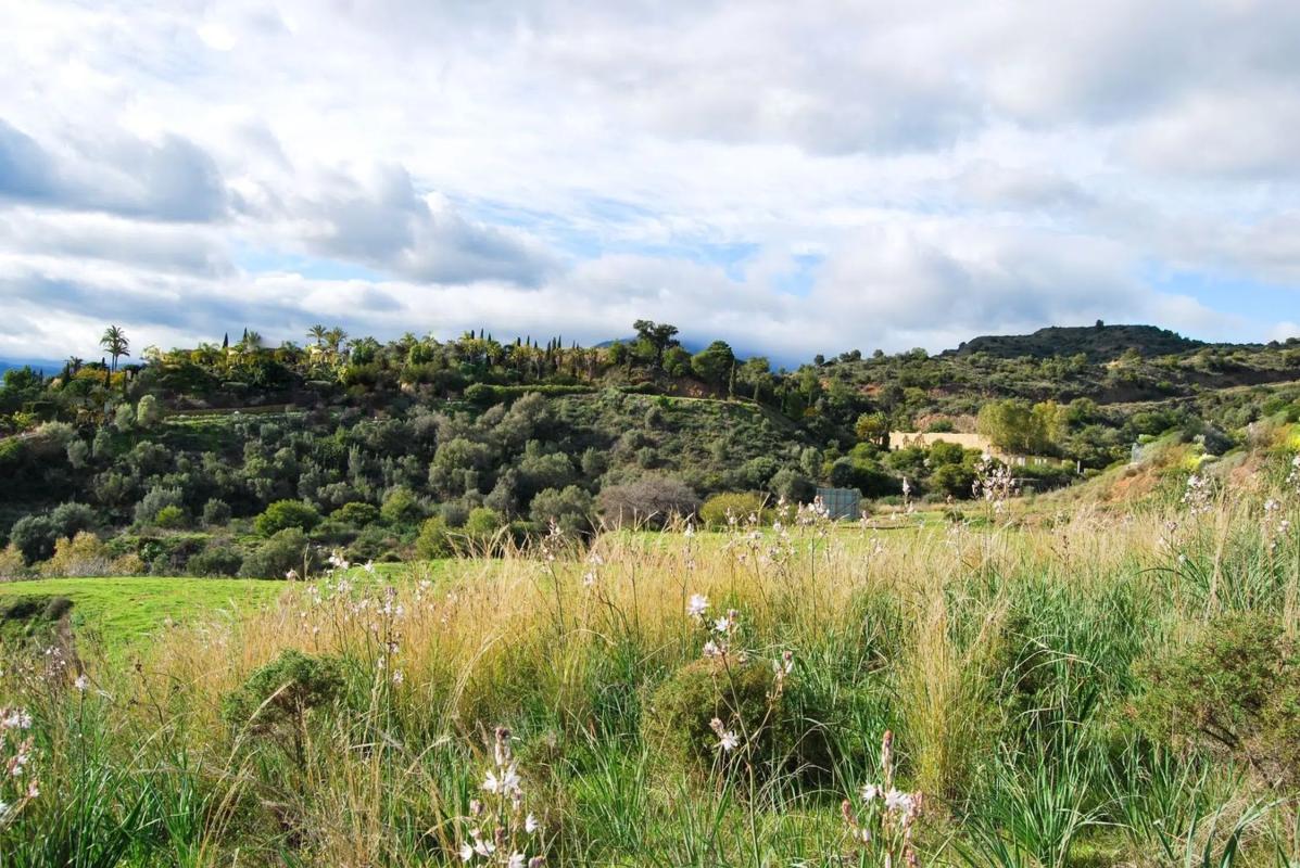 Terreno en venta en Marbella, Malaga photo 4