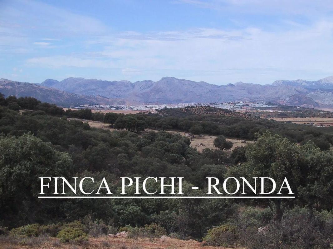 Terreno en venta en Ronda, Malaga photo 1