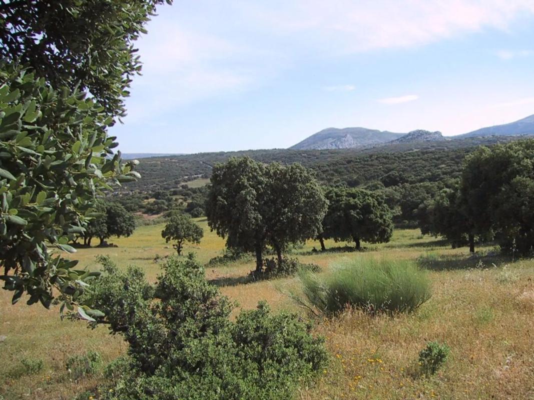 Terreno en venta en Ronda, Malaga photo 3