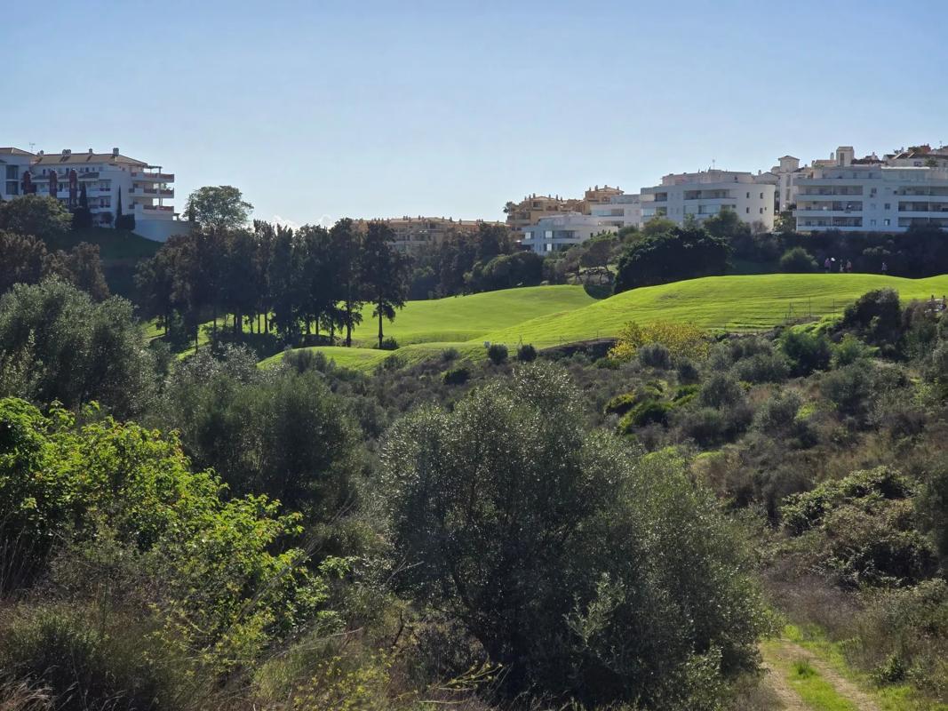 Land for sale in Mijas, Malaga photo 5