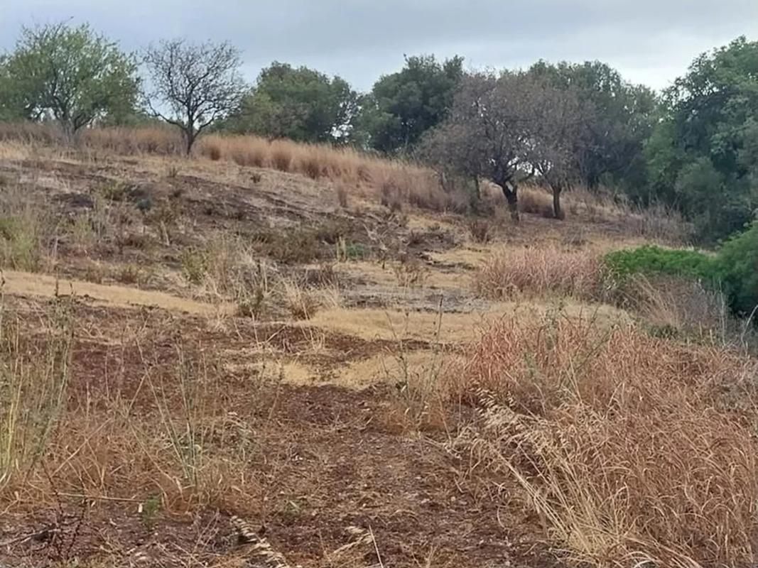 Działka na sprzedaż w Estepona, Malaga plan 1