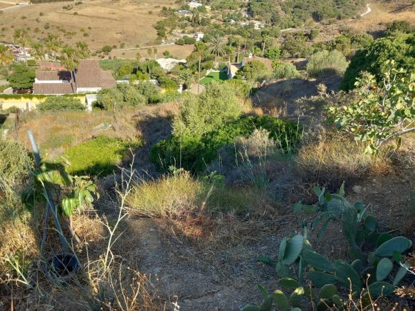 Terreno en Diseminado Pedregales photo 1