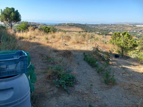 Terreno en Diseminado Pedregales photo 3