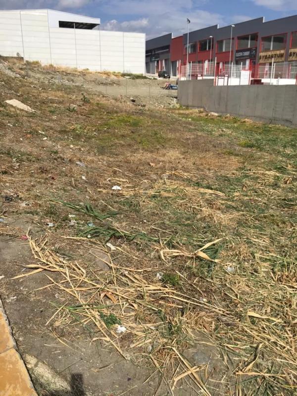 Terreno en venta en Marbella, Malaga photo 2