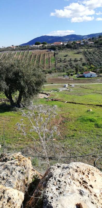 Land for sale in Alhaurín de la Torre, Malaga photo 2