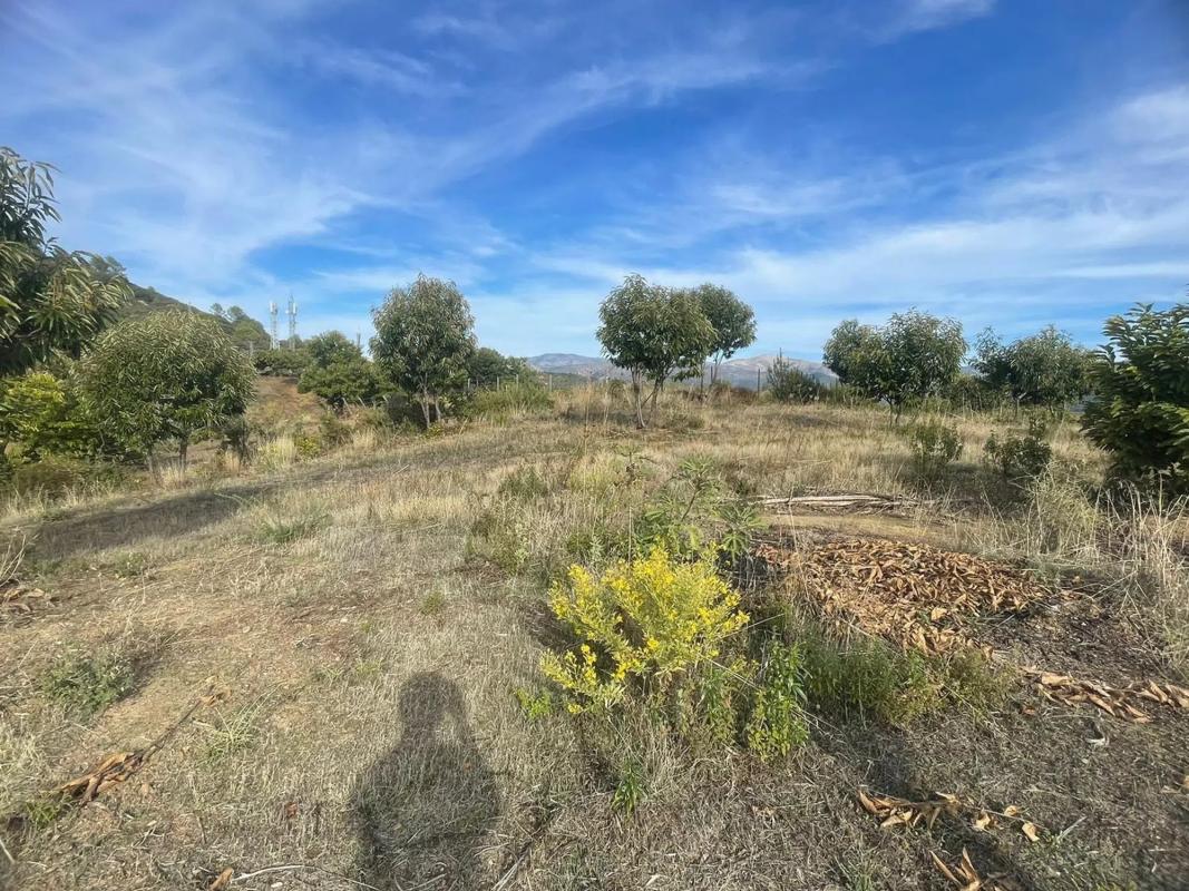Terreno en venta en Farajan, Malaga photo 2