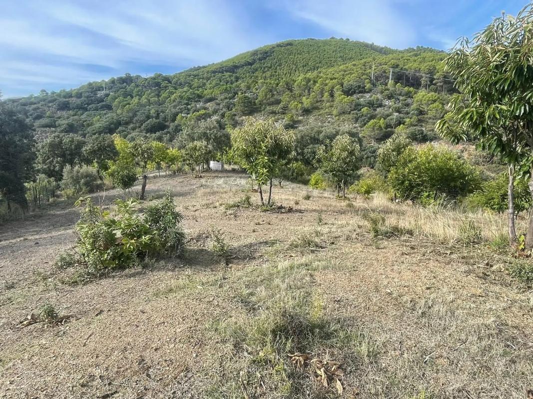 Terreno en venta en Farajan, Malaga photo 3