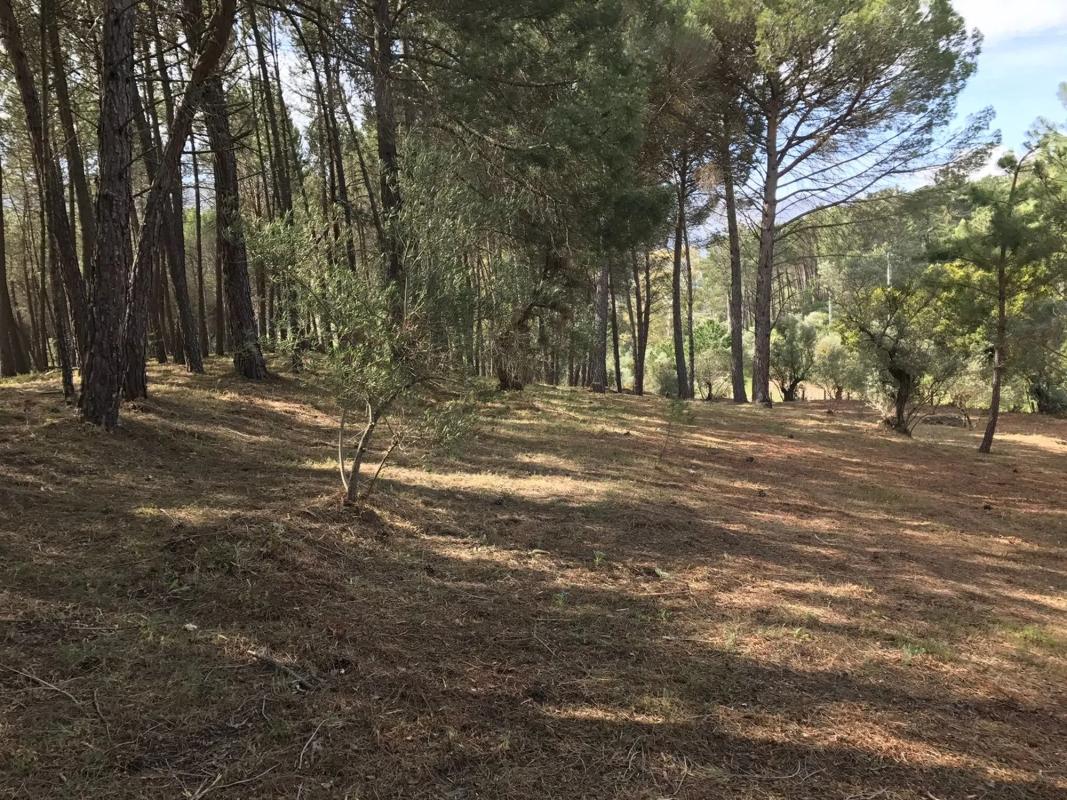 Terreno en venta en Ronda, Malaga photo 2