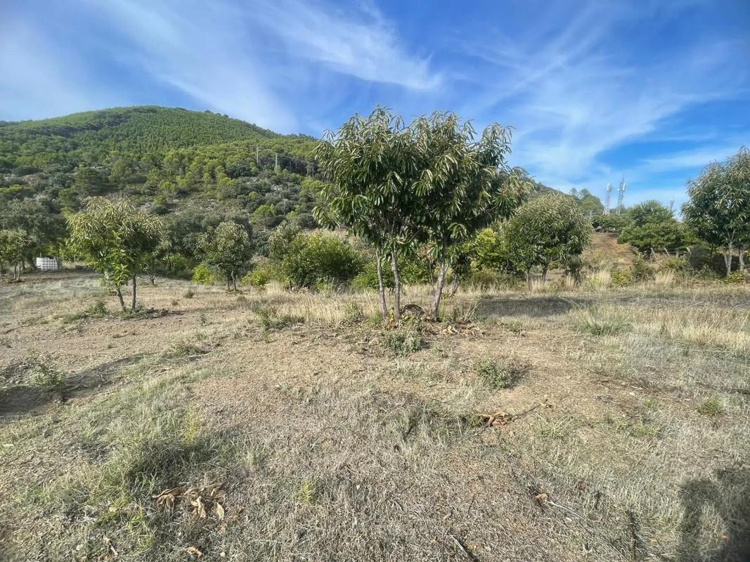 Terreno en venta en Farajan, Malaga photo 4