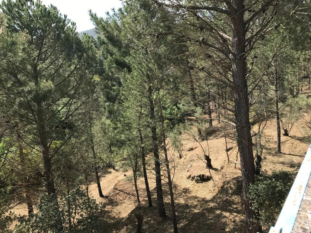 Terreno en venta en Ronda, Malaga photo 3