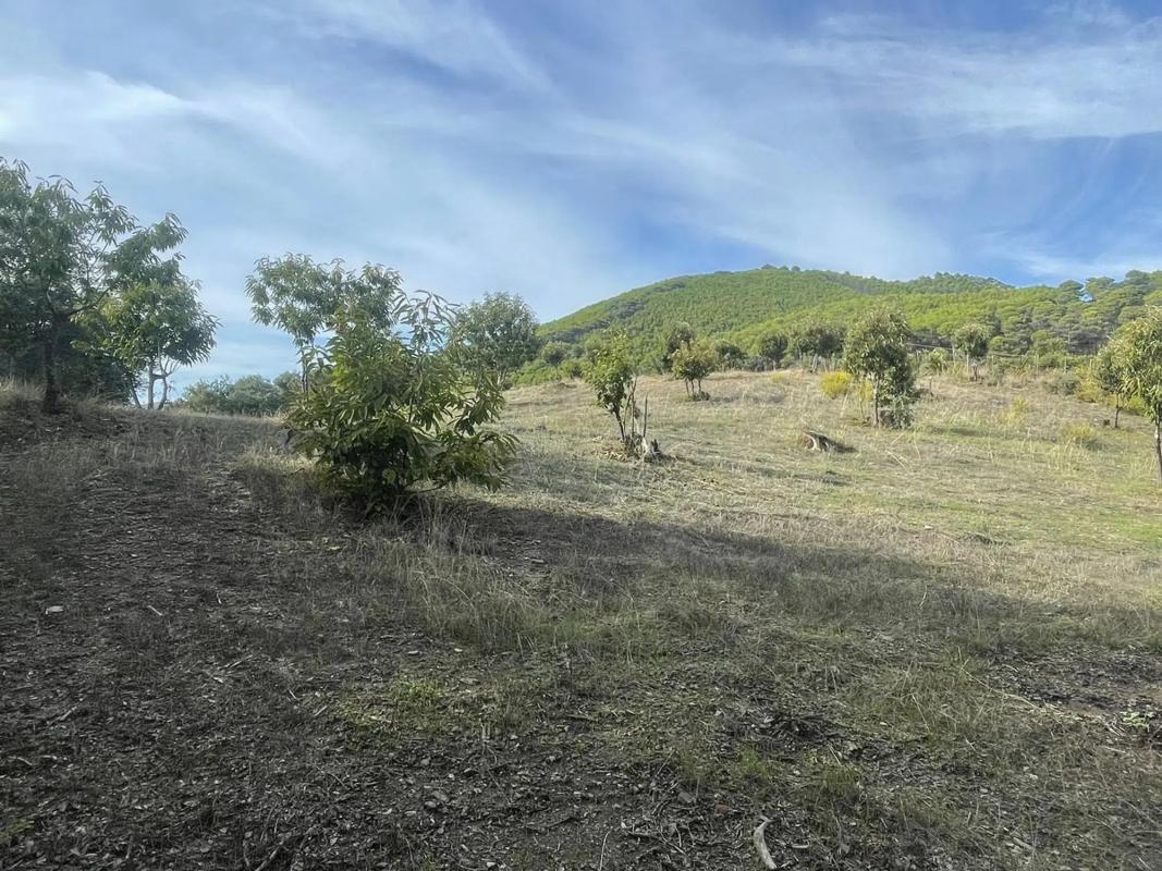 Terreno en venta en Farajan, Malaga photo 5