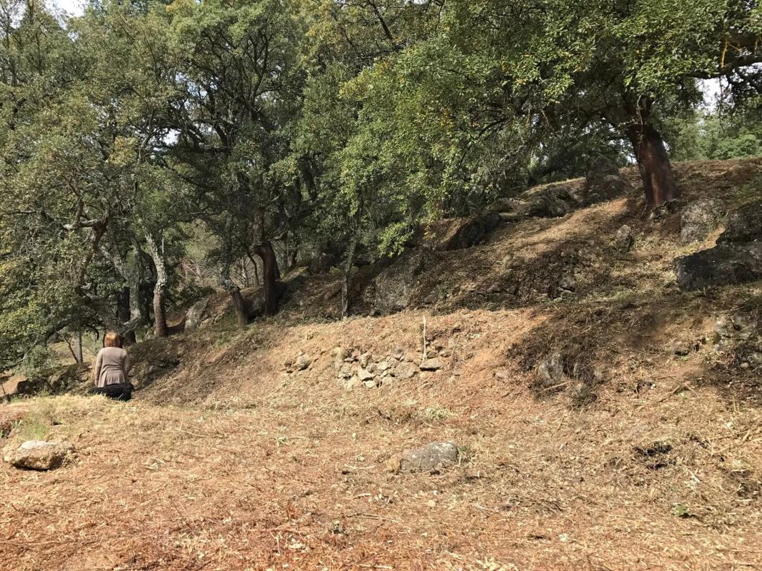 Terreno en venta en Ronda, Malaga photo 4