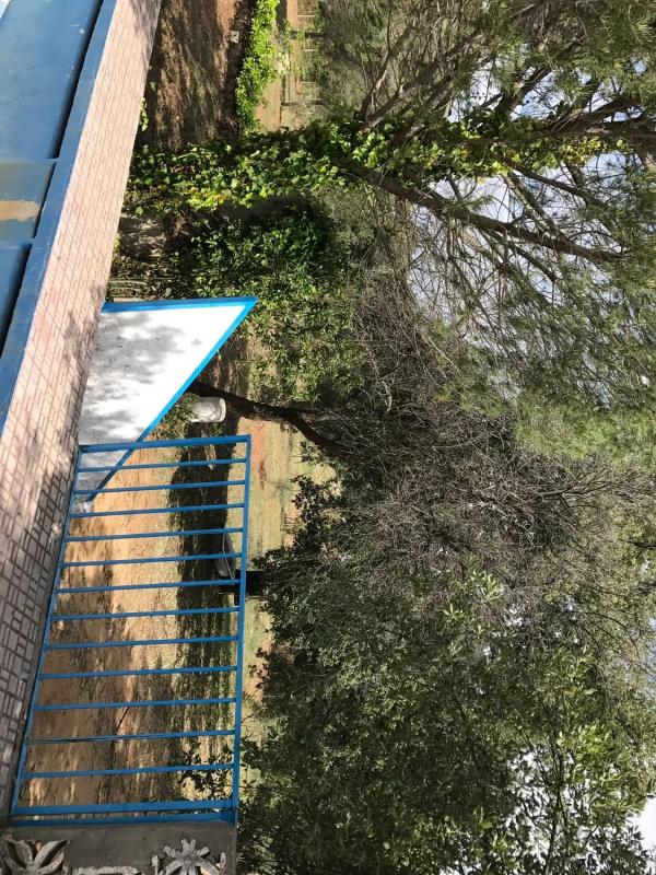 Terreno en venta en Ronda, Malaga photo 5