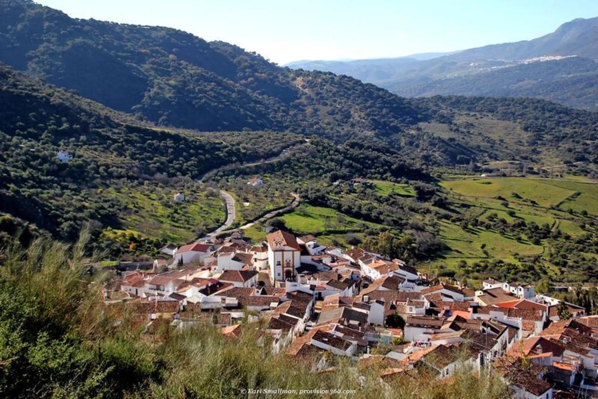 Land for sale in Jimera de Libar, Malaga photo 2