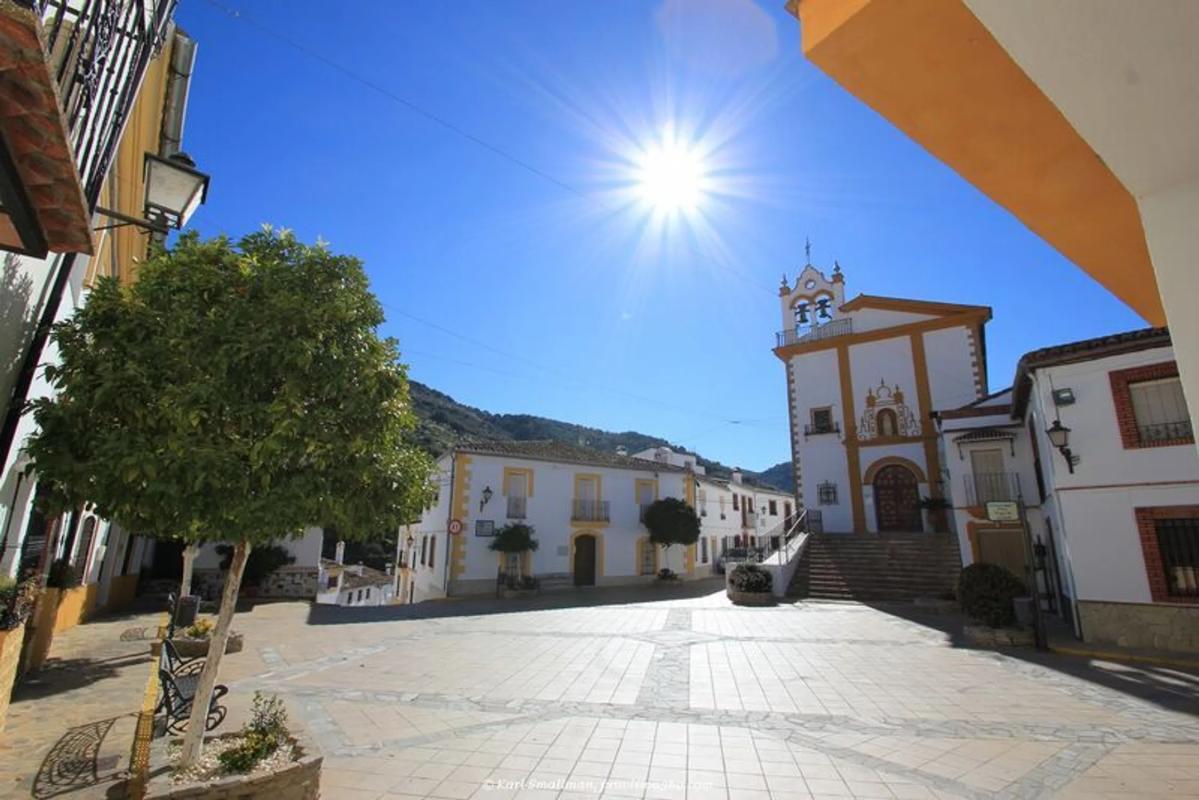 Land for sale in Jimera de Libar, Malaga photo 3