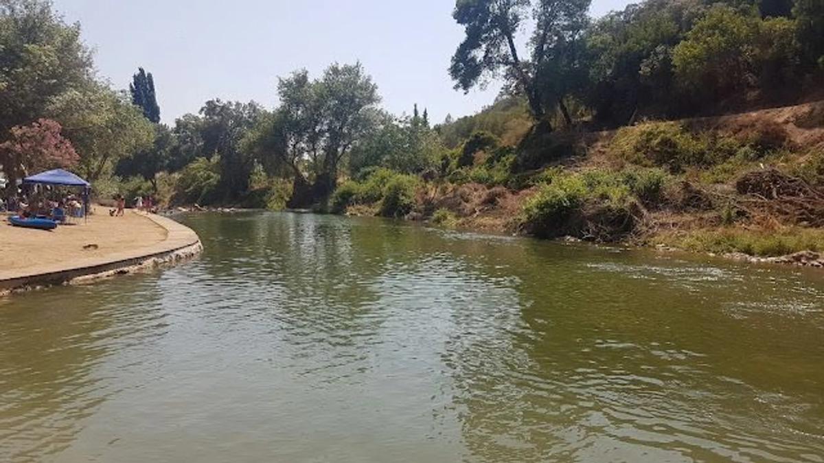 Land for sale in Jimera de Libar, Malaga photo 5
