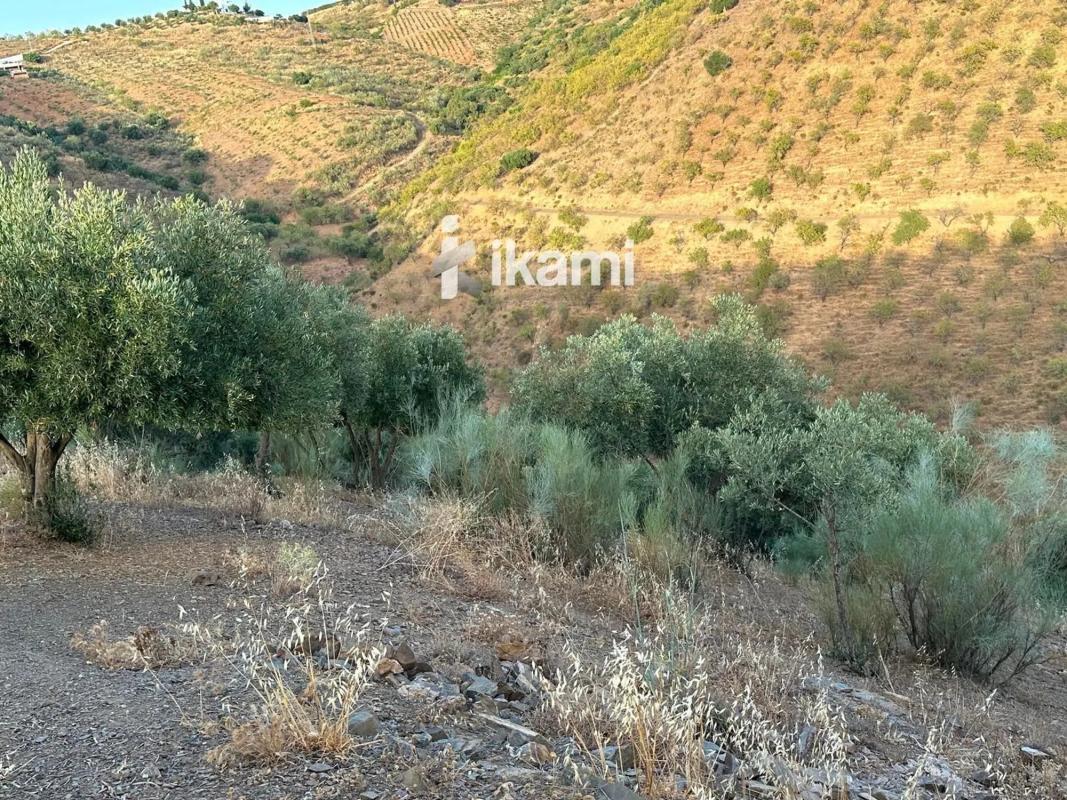 Terreno en venta en Colmenar, Malaga photo 1