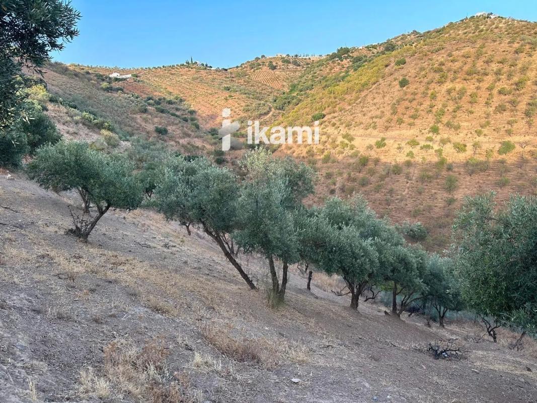 Terreno en venta en Colmenar, Malaga photo 4