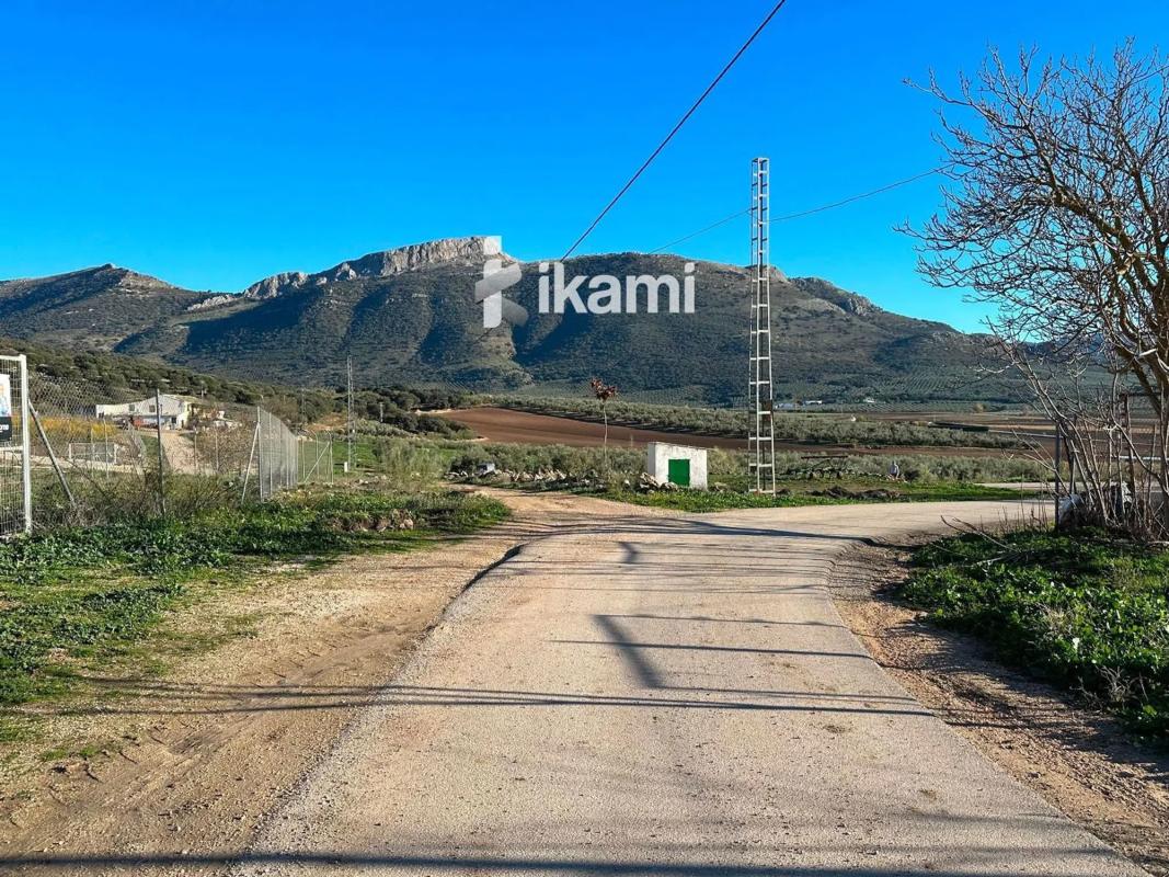 Land for sale in Archidona, Malaga photo 3