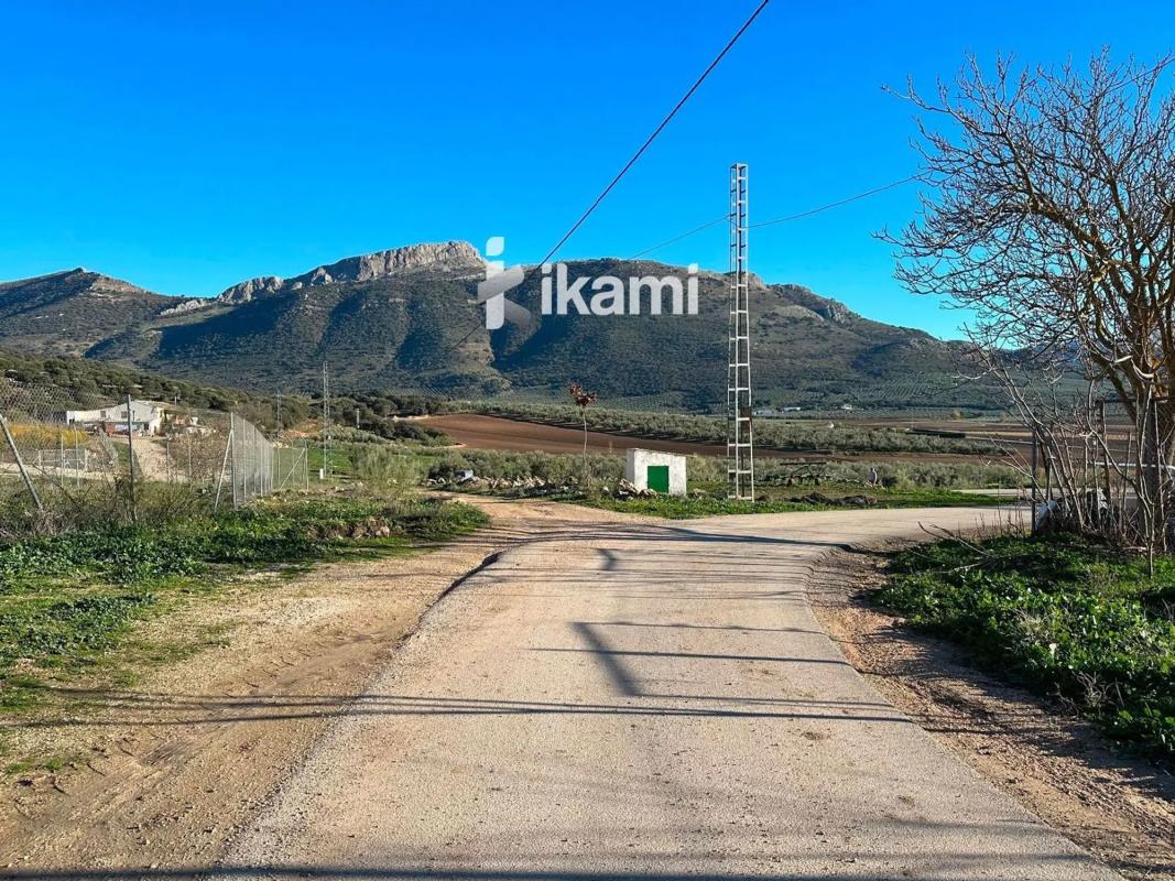 Land for sale in Archidona, Malaga photo 5
