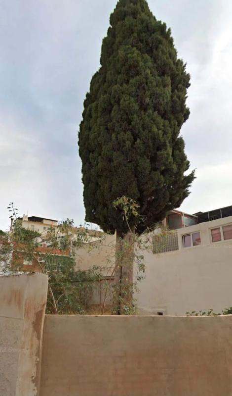 Terreno en venta en Benalmádena, Malaga photo 1