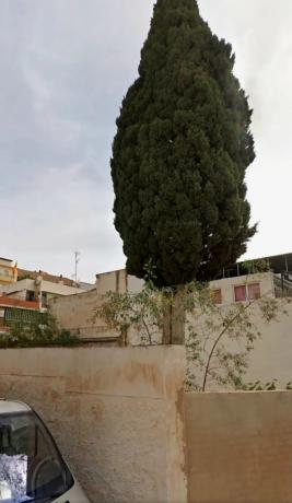 Terreno en calle Velarde s/n thumbnail 1