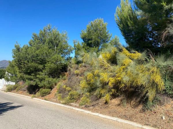 Terreno en camino de los Rios photo 3