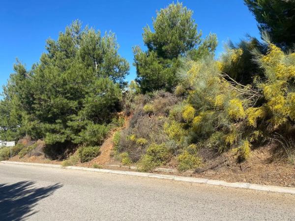 Terreno en camino de los Rios photo 4