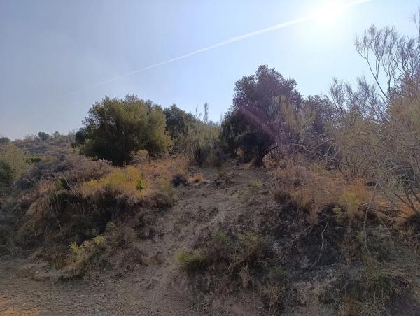 Terreno en calle Benito Menni, 3 thumbnail 2