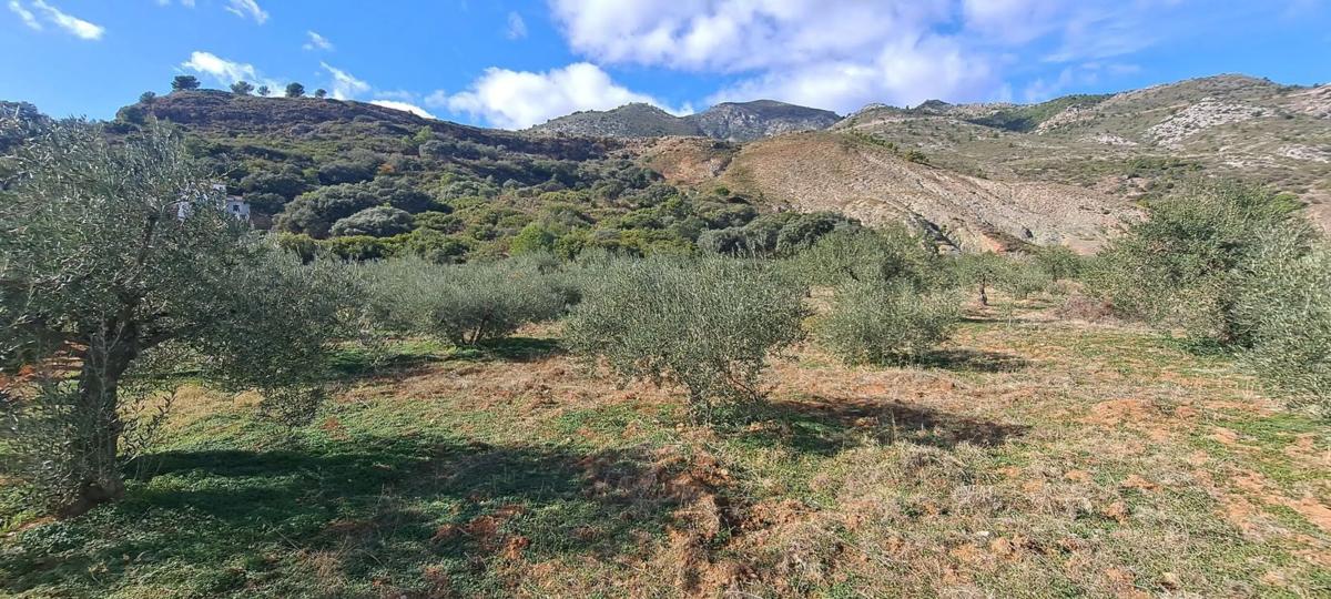 Terreno en venta en Casarabonela, Malaga photo 1