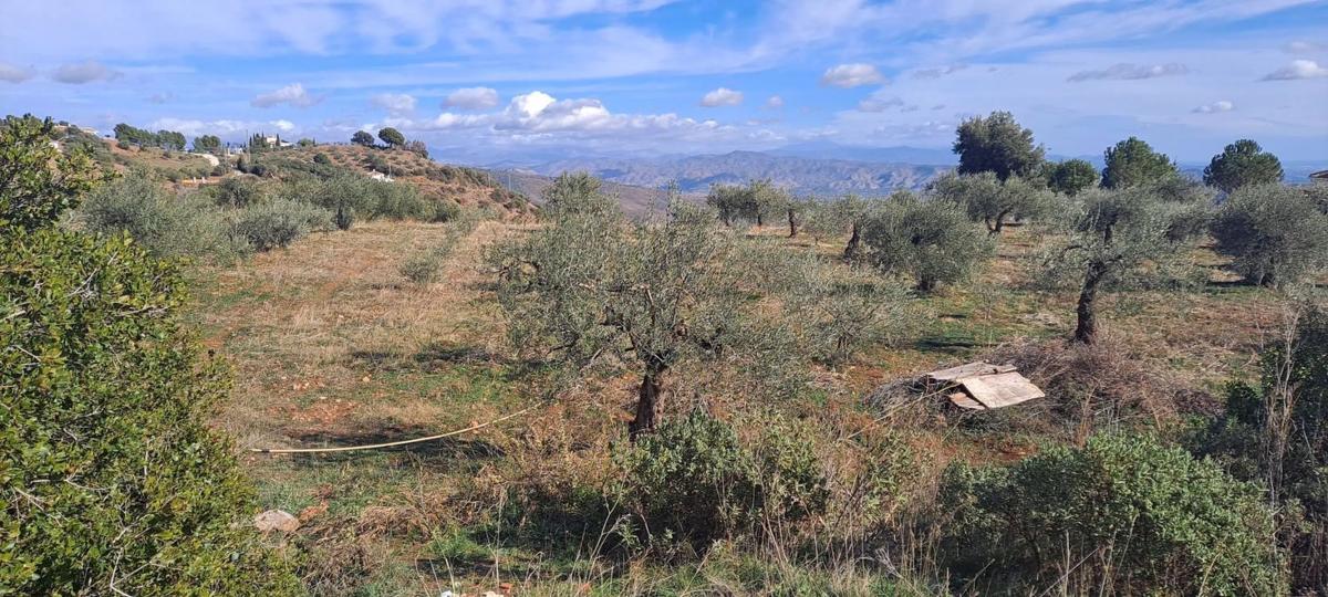 Terreno en venta en Casarabonela, Malaga photo 2