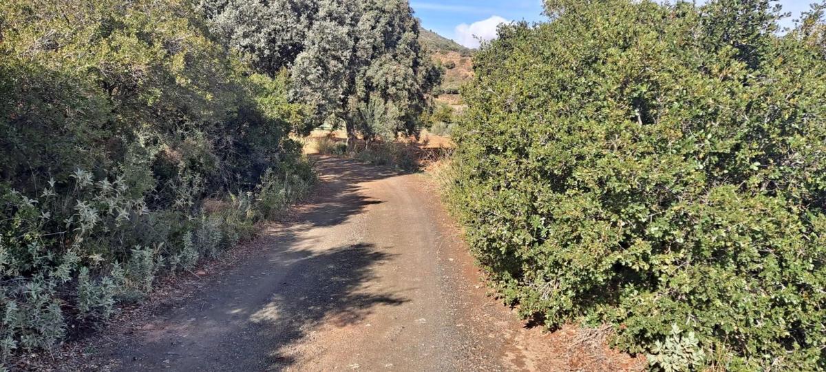 Terreno en venta en Casarabonela, Malaga photo 3