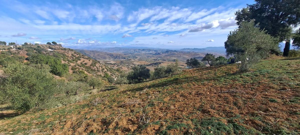 Terreno en venta en Casarabonela, Malaga photo 4