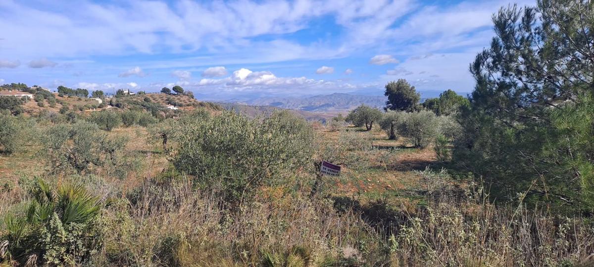 Terreno en venta en Casarabonela, Malaga photo 5