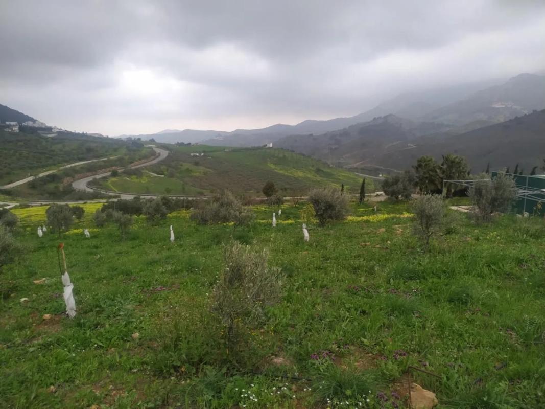 Działka na sprzedaż w Carratraca, Malaga photo 1